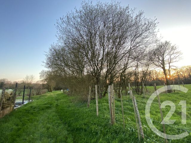 maison à vendre - 6 pièces - 130.0 m2 - MONTREVAULT SUR EVRE - 49 - PAYS-DE-LOIRE - Century 21 Iméo